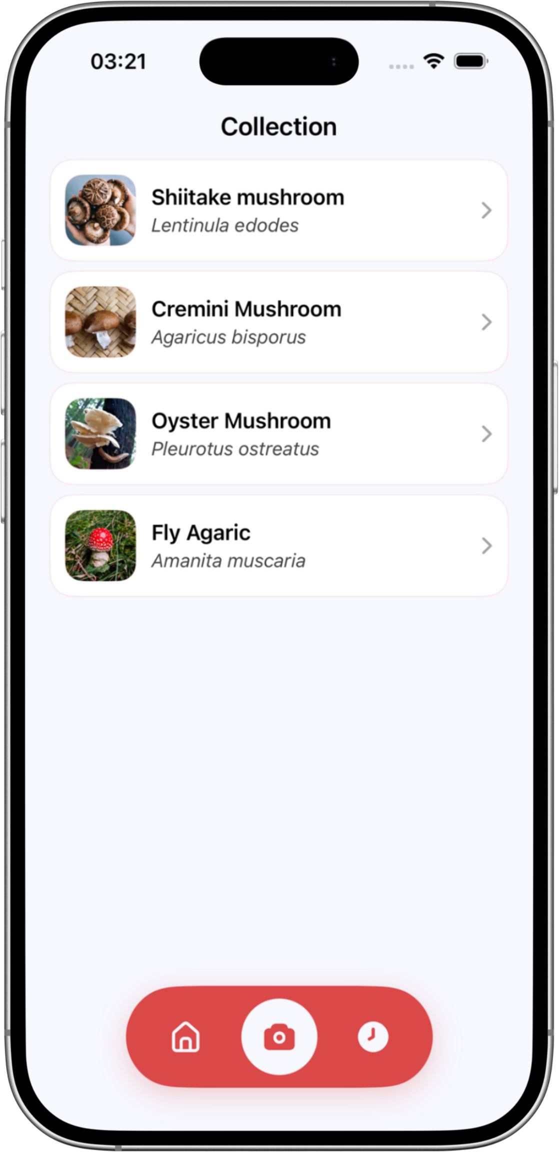 Collection screen with saved mushrooms