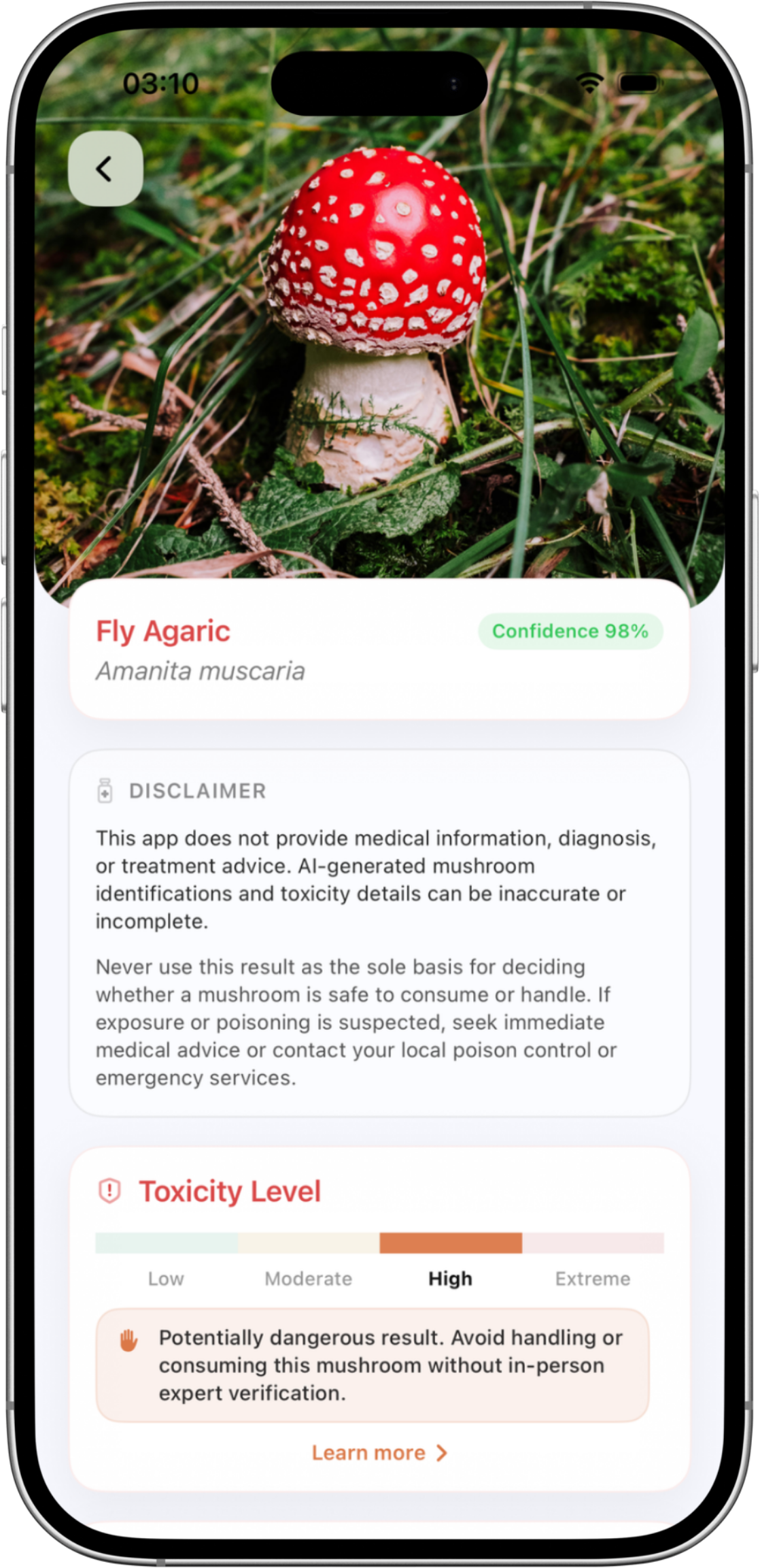 Detailed mushroom result screen